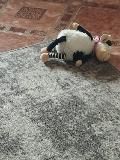 A plush toy sheep, primarily white with black stripes on its limbs and ears, lies on its side on a gray carpet. The sheep is wearing a pink ribbon around its neck. The carpet is situated on a tiled floor with a pattern of reddish-brown and beige squares, some with decorative elements. The scene appears to be indoors, likely a domestic setting, and there is no indication of the location being in Kingisepp, Russia. There are no people, actions, or interactions depicted in the image.