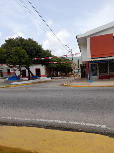 A street view in Tacarigua, Venezuela, shows a paved road in the foreground with a yellow curb. To the left, a building with red and white accents has a tree with dark green foliage in front of it, and a blue planter box. White and red pennant banners are strung across trees and buildings in the background. To the right, a building with a white and red facade features a gated entrance and barred windows. Power lines stretch across the sky, with mountains visible in the distance.