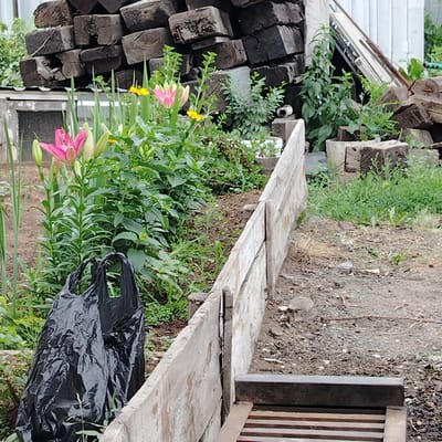 This image depicts a close-up, eye-level view of an outdoor scene, likely a backyard or garden area. In the foreground, a black plastic bag lies on the ground, partially obscuring a wooden border structure. Behind the plastic bag, a bed of green foliage is visible, with several pink lily flowers in bloom. To the left, a stack of weathered, dark brown wooden beams or railway ties is piled high. Behind these beams, a light-colored structure, possibly a shed or fence, can be seen. The ground appears to be a mix of dirt and gravel. The overall environment suggests a somewhat unkempt or developing outdoor space. There is no indication of specific activities, interactions, or people within the frame. The location is specified as Ekibastuz, Kazakhstan.