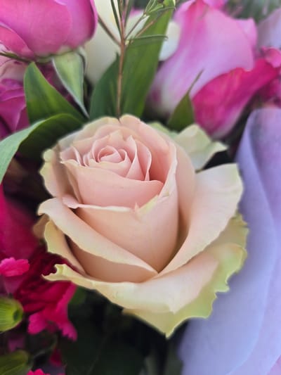 A close-up macro photograph captures a bouquet of flowers. The central focus is a pale pink rose with creamy yellow edges on its petals, its soft, velvety texture detailed. Surrounding it are other blooms in shades of bright pink and deep fuchsia, along with vibrant green leaves. The background is blurred, with soft washes of lavender and pink, suggesting a diffused light source. No specific location in Duluth, United States of America is discernible.