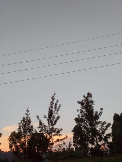 The image captures a serene, twilight scene in Borabu Chitago ward, Kenya. The sky is a pale, gradient grey, transitioning to hints of soft orange and peach near the horizon, suggesting either dawn or dusk. A faint, almost ethereal moon is visible high in the sky, a small, pale disc against the vastness.
Dominating the lower portion of the frame are silhouettes of several tall, slender trees, their branches reaching upwards like delicate, dark lace against the fading light. One tree, in particular, stands out with its intricate foliage. Below these trees, a darker, more dense line of vegetation forms the distant landscape, hinting at rolling hills or the tops of other trees.
Stretched horizontally across the sky are four thin, dark lines, unmistakably power or telephone wires, which add a touch of human infrastructure to the natural setting. These wires create a stark, graphic element against the softness of the sky.
There are no people or explicit objects visible, and no text is present. The overall mood is one of peacefulness and quietude, a moment of transition between day and night, bathed in the gentle, diffused light of twilight. The location cues of the trees and the general landscape suggest a rural or semi-rural environment.
