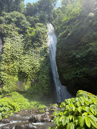 This is a vertical, eye-level, full shot of the Gitgit Waterfall in Sawan, Indonesia. The waterfall, a thin, white ribbon of water, cascades down a dark, sheer cliff face that is densely covered in green vegetation. The cliff is flanked by lush green foliage on both sides, with sunlight filtering through the trees at the top of the frame. In the foreground, a shallow, rocky stream flows over dark, smooth stones. The stream is partially obscured by large, vibrant green leaves of plants in the lower right corner of the image. The overall impression is a serene and lush natural scene.