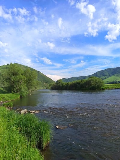 The image shows a wide, dark river flowing through a lush green valley under a bright blue sky with scattered white clouds. On the left bank, tall green grass grows along the water's edge, with several large rocks visible. A large tree with dense green foliage overhangs the river from the bank. Beyond the trees on the left, a rolling green hill rises steeply. On the right bank, dense green trees and bushes line the water, with more rolling green hills receding into the distance. The river itself is calm but shows some ripples and a few submerged rocks. The scene depicts a natural, outdoor environment, likely in a rural area. The location is identified as being in Soloneshnoye, Russia. There are no people or animals visible in the image.