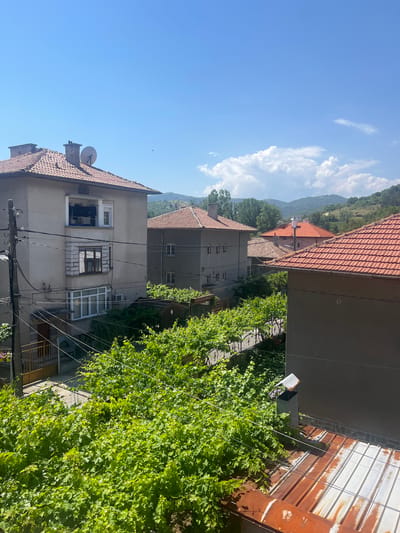 This image captures a residential street scene in Pokrovnik, Bulgaria, on a clear, sunny day. The view is from an elevated perspective, looking down and across several buildings and lush vegetation towards distant hills.
In the immediate foreground, the bottom right shows a rusty, corrugated metal roof and the plain gray wall of a building. A small, square metal chimney pipe with a cover protrudes from this roof. Above this, dense, vibrant green foliage, appearing to be trellised grapevines, fills the mid-ground, obscuring much of the ground level. Multiple thin utility wires crisscross above these vines.
To the mid-ground left, a three-story, light gray stucco-finished residential building with a terracotta-tiled hip roof is prominent. The top floor features an open loggia where dark laundry items are hanging to dry on a line. A satellite dish is mounted on the roof, alongside a brick chimney. The building has varied windows: some modern white PVC frames and older brown frames. A utility pole with numerous black power lines stands directly in front of this building, connecting to the facade and extending across the scene. Below, a small, covered entrance area with a golden-brown metal gate is visible.
Further back, another multi-story gray building with a terracotta-tiled roof is partially visible, obscured by the foreground building and foliage. In the background, additional residential structures with reddish-orange tiled roofs are interspersed among trees.
The sky is a bright, clear blue, with scattered white cumulus clouds, including a large, prominent cloud formation on the upper right horizon. Rolling hills covered in green trees form the distant landscape under the clear sky. No people or animals are explicitly visible in the scene.