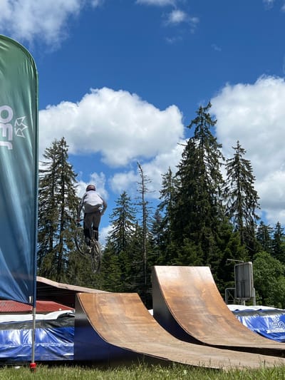 An outdoor shot taken at the Borovets bike park, located in the city of Samokov, Bulgaria. A mountain biker wearing a helmet and grey clothing is captured mid-air, performing a jump on a wooden ramp against a backdrop of tall evergreen trees and a blue sky dotted with white clouds. To the left, a large green banner with white lettering and a crown logo is partially visible. In the foreground, the ramp structure and some blue safety mats are also in view.