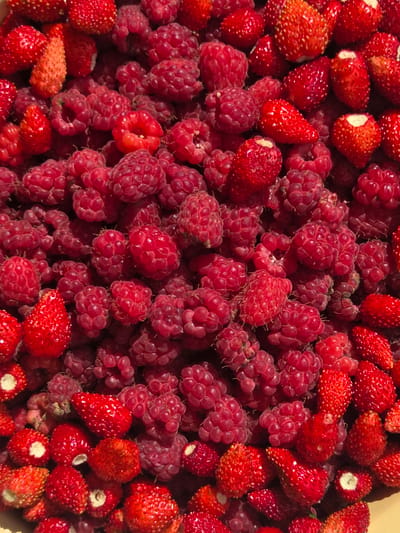 A close-up, overhead shot captures a generous mix of ripe raspberries and wild strawberries. The fruits are densely packed, creating a vibrant tapestry of reds and deep pinks. The textures are varied, with the delicate, clustered drupelets of the raspberries contrasting with the bumpy, seed-studded surfaces of the strawberries. Some of the strawberries show white or pale green tops where they were detached from their stems. The overall impression is one of abundant harvest, likely from a garden in Восход Снт (фролово), Russia, given the context. There are no people, actions, or interactions visible; the focus is entirely on the fruit itself. The lighting is bright and natural, highlighting the freshness and juiciness of the berries.