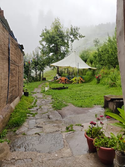 The image depicts an outdoor scene in Prini, India, on a misty or overcast day. A stone pathway, wet and reflecting the surroundings, leads through a grassy area. To the left, a rustic structure with a bamboo-like exterior is visible, possibly a building or wall. In the center, a large white canopy tent is set up, providing shade over a picnic table and several colorful chairs (orange, green, and blue). Beyond the tent, a lush green hillside is covered in trees and vegetation, with mist obscuring the distant landscape. Prayer flags are strung between trees in the mid-ground. In the foreground, potted plants, some with pink flowers, sit on the wet ground near the pathway. A wooden bench or table is situated on the right side of the frame. The overall impression is of a serene, possibly slightly damp, outdoor setting in a hilly region.