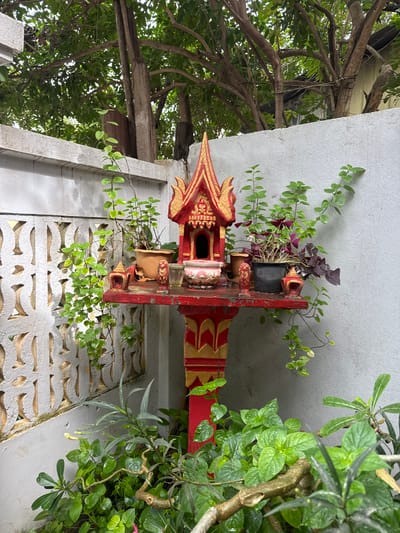 An outdoor shrine, likely a spirit house, is situated in a narrow courtyard or alley in Battambang, Cambodia. The shrine is predominantly red with gold accents, featuring a tiered, temple-like roof. It is adorned with small decorative elements, including what appear to be miniature guardian figures. The shrine is placed on a red pedestal and shelf, surrounded by various potted plants. A creeper plant with small green leaves cascades down the side of the shrine and onto the shelf. To the left of the shrine is a decorative white wall with a patterned opening. The background consists of more plants and trees, with the faint outlines of buildings visible through the foliage. The scene is brightly lit, suggesting daytime. There are no people or animals present.