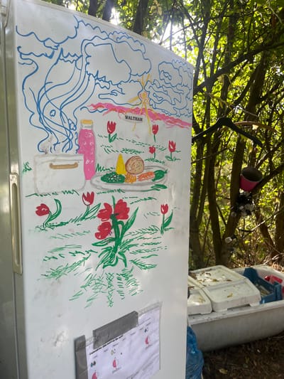 This image depicts an outdoor scene in a densely vegetated area within Sint-Pieters-Leeuw, Belgium. The primary subject is a tall, white, upright household refrigerator positioned vertically. The front of the refrigerator is extensively decorated with colorful paint: the upper portion features blue outlines of clouds and wave-like patterns, with a yellow sunburst and the word "WALTHAM" in pink. Below this, painted elements include a white pot, a pink bottle, and a white plate holding a prepared meal with a brown spherical item, yellow and green vegetables, and orange slices. The lower section of the refrigerator is painted with green grass strokes and numerous red tulip-like flowers. A laminated white paper document titled "Calendrier des sorties de sacs" (Waste Collection Calendar) is affixed to the bottom of the refrigerator with grey duct tape.
To the right of the refrigerator, a dense concentration of green tree branches and foliage is visible, through which bright sunlight filters. Beneath the branches, a large, white, oblong container, resembling a bathtub or trough, rests on the ground. Inside this container are several blue plastic crates, some containing white styrofoam inserts or lids. A dark blue or black plastic bag is partially visible near the base of the white container. Miscellaneous objects are suspended from the tree branches to the right, including at least two dark-colored clothes hangers and a pink plastic cup or small bucket entangled with what appears to be a string of lights. No individuals are present in the scene, which appears static and provides no indication of immediate human activity.