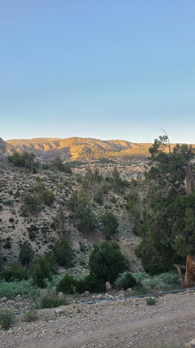 The image captures a mountain landscape in Ziarat, Pakistan, under a clear, light blue sky. A mountain range, bathed in the golden light of the setting sun, stretches along the left side of the frame. The mountainside is sparsely covered with trees and shrubs, giving it a rugged, arid appearance. A dirt road runs parallel to the mountainside on the right, lined with vegetation and a thin, dark pipe. The overall composition suggests a remote, mountainous region with a natural, untouched feel.