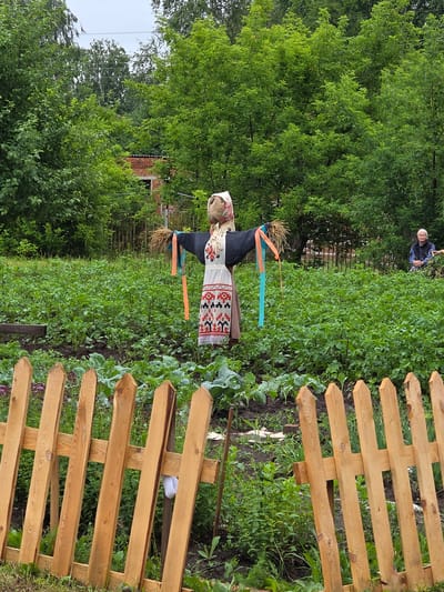 In a garden setting in the village of Starye Begi, Russia, a scarecrow stands prominently in the center of a field of green plants. The scarecrow is dressed in a dark top and a white apron with red and black embroidered patterns. Colorful ribbons, orange and teal, are attached to its arms. The garden is enclosed by a rustic wooden fence in the foreground. In the background, lush green trees form a backdrop, and a brick building is partially visible through the foliage. To the right of the scarecrow, an elderly woman with white hair sits on a bench, observing the garden. The sky is overcast, suggesting a cloudy day.