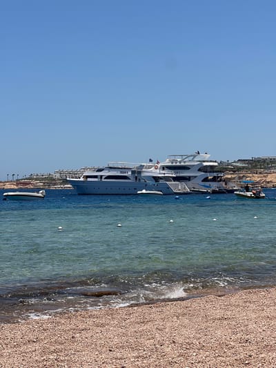 The image depicts a view of the Red Sea coast in Sharm El Sheikh, Egypt. In the foreground, a pebble beach is visible with the gentle waves of the clear blue water lapping at the shore. In the midground, a large white yacht named "FREEDOM III" is anchored in the sea, with several smaller boats docked alongside it. The yacht has multiple decks and appears to be a luxurious vessel. In the background, there are buildings and palm trees lining the coastline, indicative of a resort area. The sky is clear and blue, suggesting a sunny day. The scene captures a typical vacation atmosphere in a coastal Egyptian city.