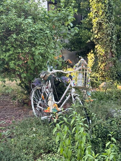 This is a vertical, outdoor medium shot of a white, vintage bicycle creatively decorated and repurposed as garden art. The bicycle is positioned amongst lush green foliage, suggesting a garden setting. Sunlight filters through the leaves, indicating it is daytime, likely late afternoon or early morning due to the warm, golden light. The bicycle itself is adorned with a white cage-like structure on the handlebars, decorated with colorful beads. Flowers and other decorative elements are attached to various parts of the bike, including the handlebars, frame, and wheels, giving it a whimsical and artistic appearance. The background shows more dense greenery and a glimpse of a building or wall. The overall impression is one of a charming and eclectic garden display in Rathenow, Germany. There is no text visible in the image.