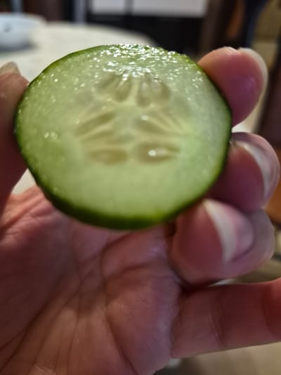 The image shows a close-up of a person's hand holding a slice of cucumber. The cucumber slice is green with visible seeds in the center. The hand is positioned to the right of the cucumber slice, with fingers partially obscuring it. The skin on the hand appears to have lines and texture. The background is out of focus and shows a blurred, warm-toned interior environment, suggesting a domestic setting. There are some bright spots of light reflecting off the cucumber slice, possibly from an artificial light source. The lighting appears to be indoor lighting. No text is visible in the image.