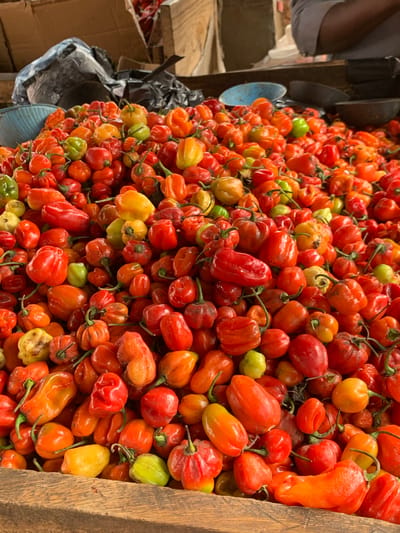 A large quantity of various peppers, primarily red and orange, mixed with yellow and some green specimens, occupies the majority of the frame. The peppers, consistent with the habanero or scotch bonnet variety, are densely packed in what appears to be a wooden display crate or stall. The wooden edge of this structure is visible at the bottom. In the background, partially obscured, are a light blue plastic bowl on the left and a dark-colored bowl on the right. Black plastic bags and cardboard are visible further back. A human forearm and a portion of a torso, clad in a light-colored shirt, are visible in the upper right corner, positioned above the pepper pile. The setting is identified as a market stall in Ilorin, Nigeria.