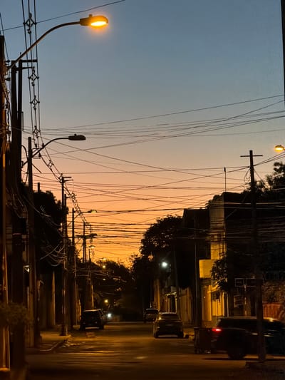 This image depicts a street scene at dusk in Asuncion, Paraguay. The sky transitions from a deep blue at the top to a warm orange and pink gradient towards the horizon, indicating the setting sun. A dense network of overhead power lines dominates the upper half of the frame, crisscrossing in a chaotic yet organized fashion against the colorful sky.

Streetlights are visible, with one on the left emitting a bright, warm glow, and others further down the street appearing as smaller points of light. Trees with dark foliage are silhouetted against the sky and buildings, adding to the nighttime atmosphere. The street itself is wet, reflecting the artificial lights and suggesting recent rain. On the right side of the image, a dark-colored vehicle is parked or moving slowly on the street. Buildings line the street, with some illuminated windows and facades suggesting residential or commercial spaces. The overall mood is serene and tranquil, characteristic of twilight in a city. There is no visible text in the image.