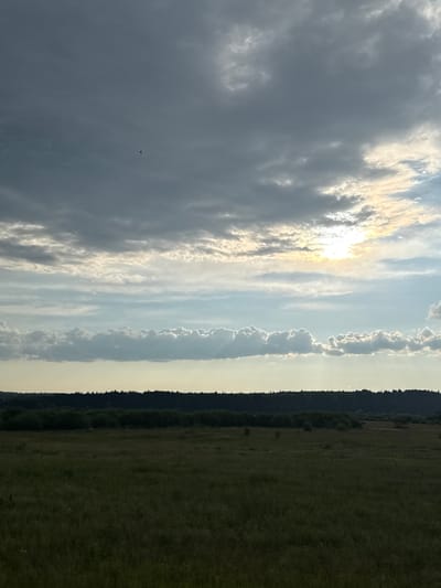 The image depicts a vast, open field under a dramatic sky filled with dark, heavy clouds. The sun is attempting to break through the clouds, casting a bright, warm glow in the upper right portion of the frame. The field itself is covered in tall, green grass, with some scattered bushes and trees in the distance. A dense line of dark trees forms a distant horizon, possibly indicating the edge of a forest or a populated area. A single bird is visible in the sky. The overall impression is one of a natural, untamed landscape. The image appears to have been taken in Chernovskoye, Russia, based on the provided context.