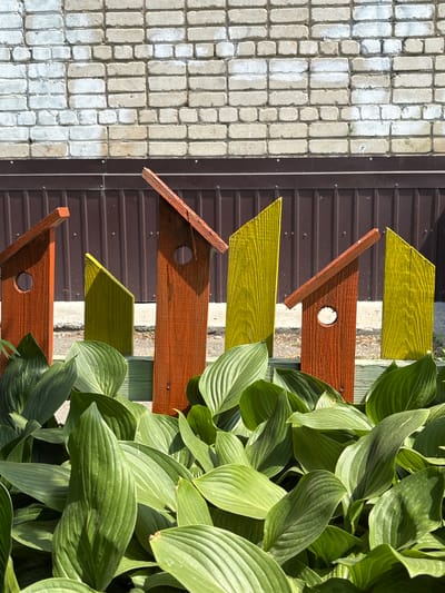 The image depicts a rustic wooden fence with birdhouses, in Blagoveshchensk, Russia. The fence is painted green and features alternating wooden posts that are either reddish-brown or bright yellow. Some of these posts are shaped like birdhouses with circular openings, while others are simple, pointed wooden planks. In the foreground, a lush bed of large, green hosta plants obscures the lower portion of the fence, with their broad leaves creating a dense, leafy carpet. Behind the fence, a brown corrugated metal barrier is visible, and above that, a brick wall constructed from light-colored bricks, some of which appear to have been painted white. The scene is set outdoors under a bright, sunny sky, casting distinct shadows.