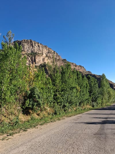 The image depicts a scenic view of a rugged, rocky cliff face covered in lush green vegetation. The cliff is steep and appears to be composed of layered sedimentary rock. The vegetation consists of dense bushes and trees, some of which have yellow foliage, suggesting either a particular type of plant or the season. The scene is bathed in bright sunlight, indicating a clear day, likely in the late morning or early afternoon due to the shadows cast by the cliff onto the adjacent road.
To the right of the cliff and vegetation, a paved road runs diagonally across the frame. The road's surface is asphalt, and its texture is visible, with small pebbles embedded in it. Long, dark shadows stretch across the road, originating from an unseen source, likely trees or poles off-frame to the left. The road appears to be empty of vehicles, suggesting a quiet, possibly rural, location.
The sky is a vibrant, cloudless blue, filling the upper left portion of the image. The overall impression is one of a natural landscape, perhaps a hiking trail or a scenic drive. The orientation of the image is such that the cliff face and road are seen from a tilted perspective, with the sky dominating the left side and the road the right.
The location context provided is Shatin, Armenia. This implies the image was taken in a mountainous or hilly region of Armenia. There is no visible text in the image. The scene evokes a sense of natural beauty and tranquility, with the grandeur of the cliff contrasted by the vibrant greenery and the man-made road.