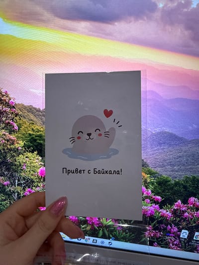 This media file shows a close-up of a hand holding a postcard with a cartoon seal and Russian text. The postcard reads "Привет с Байкала!", which translates to "Hello from Baikal!". The seal is depicted with closed eyes, rosy cheeks, and a small heart above its head. The hand holding the postcard has glittery pink nail polish.

The postcard is placed in front of a computer screen displaying a vibrant wallpaper. The wallpaper features a mountainous landscape with lush greenery and pink flowers in the foreground. In the background, there are misty purple mountains and a rainbow-like effect. The computer screen appears to be a laptop, as evidenced by the visible edge and icons on the right side of the screen, which include application icons and a search bar.

The image is taken from a slightly high angle, with the postcard and hand being the primary focus. The lighting suggests it's indoors, likely in a room where a computer is in use. The overall mood is cheerful and perhaps a bit whimsical, conveyed by the cute seal illustration and the bright, colorful wallpaper. The presence of the Baikal reference on the postcard suggests a connection to the famous Russian lake.