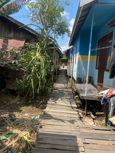 The image depicts a wooden walkway passing between two stilted houses in Berangas Timur, Indonesia. The walkway is weathered and uneven, with gaps between the planks. On the left, a dilapidated building with a corrugated metal roof is visible, surrounded by dense vegetation, including a large dragon fruit plant with long, trailing stems. On the right, a bright blue and yellow house stands on stilts. A person, seen from behind and walking away from the camera, is visible on the walkway in the distance, heading towards the blue house. The ground beneath the walkway is littered with debris, including dried leaves, straw, and what appear to be discarded packaging. Clothing items are hanging from the side of the blue house. The scene is illuminated by bright sunlight under a partly cloudy sky.