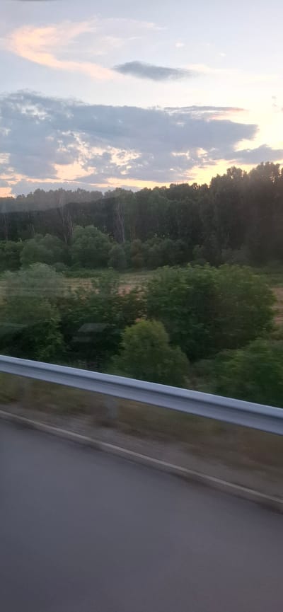 The image depicts a landscape view from a moving vehicle, likely a train or car, at dusk in the city of Blajievo, Bulgaria. In the foreground, a metal guardrail runs horizontally across the lower portion of the frame, separating the viewer from the scene. Beyond the guardrail, a paved surface, presumably a road or track, is visible. The midground is filled with a dense forest of green trees, with varying shades and textures indicating different species and heights. Some lighter-colored trees, possibly birch, stand out amongst the darker foliage. The background features a pale sky with scattered clouds, tinged with hues of pink and orange from the setting sun. The overall impression is one of natural beauty viewed from a transient perspective. There are no people or specific actions or interactions visible in the image.