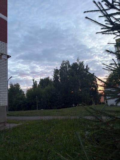 This media file shows an outdoor scene, likely captured in Naberezhnye Chelny, Russia. The image is oriented vertically, with the top of the frame at the bottom of the original photograph.
The scene depicts a transition in the sky, with a mix of clouds and some faint hints of pink and orange suggesting either sunrise or sunset. Tall trees line the right side of the frame, forming a dense green backdrop that gives way to a paved pathway or road. The grass along the pathway is lush and green, indicating a temperate season. In the foreground, on the left, is the edge of a brick structure, possibly a building or wall, with some white detailing. Pine branches with their characteristic needles frame the top and right edges of the image, adding a natural element.
There are no people visible in the frame. The overall mood is peaceful and somewhat serene, likely due to the soft lighting and natural elements. The time of day appears to be either early morning or late evening, given the sky's colors. The presence of trees, grass, and the brick structure suggests an urban or suburban setting with accessible green spaces. There is no visible text in the image.