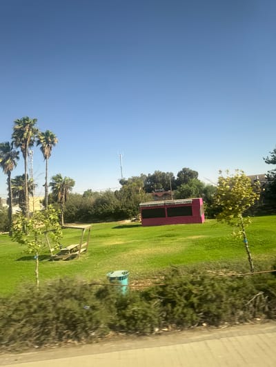 The image depicts a bright, sunny day in Arad, Israel, with a clear blue sky dominating the upper portion of the frame. The scene is a grassy park area, likely a public space.
In the foreground, a line of dense, dark green bushes runs horizontally across the bottom of the image, slightly blurred due to motion. A light brown wire or cable runs along the top of these bushes.
The middle ground is characterized by a well-maintained green lawn. Scattered across the lawn are several elements. To the left, a group of tall palm trees with distinctive fronds are visible, some appearing somewhat dry. Behind the palm trees, a light-colored building with windows can be seen. Further to the left and slightly behind the palm trees are cellular towers, one notably tall and slender.
In the center of the lawn, a wooden picnic table with benches, covered by a simple wooden canopy, is positioned. To the right of the picnic table, a bright pink, rectangular structure resembling a small kiosk or booth is situated. This structure has dark, slatted windows or openings. A single, slender tree with light green foliage stands to the right of the pink structure, also slightly blurred. A teal-colored cylindrical trash bin is located further to the right of the picnic table and behind the bushes.
In the background, a dense line of trees and vegetation creates a natural border. Above this, a distant, larger cellular tower is visible. The overall impression is a park setting with recreational amenities, set against a backdrop of vegetation and infrastructure.