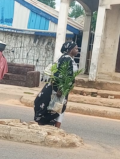 In the city of Garko, Nigeria, a woman wearing a black and white patterned dress and a black headscarf walks along a dirt road, carrying a potted palm plant. The woman, who appears to be in her 30s or 40s, is walking from left to right across the frame. She is also carrying a white bag in her left arm. In the background, there is a brown sofa and a building with a corrugated iron roof. The building has a blue and white facade. The area appears to be a market or a residential street. The overall impression is one of everyday life in a Nigerian city.