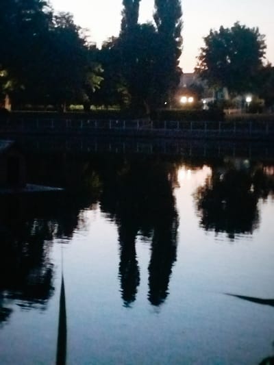 The image depicts a reflective body of water, likely a river or lake, with dark trees silhouetted against a dim sky. The water's surface mirrors the trees and a low, dark structure on the left bank, possibly a boathouse or small building. In the background, beyond the trees and a fence-like structure, there are illuminated lights, suggesting buildings or streetlights in a park or urban setting. The overall lighting indicates twilight or early evening. There are no people or discernible actions visible in the image. Based on the context provided about Kremenchuk, Ukraine, this scene could be a view of the Dnipro River or one of its tributaries within the city, possibly near a park area.