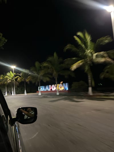 This nighttime image captures a scene from a moving vehicle in the city of Paraíso, Mexico. The perspective is from the driver's side, with a portion of the car's interior, including the door frame and side-view mirror, visible in the lower left. The side-view mirror reflects the upper body of a person, likely the driver or front passenger, wearing a light-colored top with dark straps.

The primary subject is a large, illuminated sign spelling "CHAMPOTÓN" in distinct, multi-colored block letters (e.g., blue, orange, yellow, red, white), positioned centrally in the midground. The sign is brightly lit against a dark sky.

Several palm trees are present throughout the scene, with multiple trees lining the road to the left of the sign, and others extending to the right. Many of these palm trees have their lower trunks painted white. Bright streetlights illuminate the area, with one prominent streetlight on the far left and an intense light source creating a lens flare on the far right. The paved road in the foreground and midground exhibits motion blur, indicating the vehicle's movement.