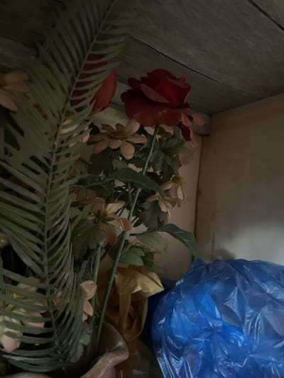 The image shows a close-up view of artificial flowers arranged in a pot, set against a background of wooden shelving. A large, red rose is the most prominent flower, positioned towards the top and center of the frame. To its left, a feathery, pale green frond is visible, partially obscuring other flowers. These flowers, appearing to be made of fabric or plastic, have pale pink or peach-colored petals. The wooden shelf above is aged and shows visible grain and planks. To the right of the flowers, a crumpled blue plastic bag is partially visible, suggesting a storage or discarded item. The lighting is dim, creating shadows and highlighting the textures of the objects. The scene is devoid of any people or overt actions. The location is not discernible from the image itself, and therefore, its placement within Kota Kuala Simpang, Indonesia, cannot be confirmed by the visual evidence.