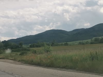 The image presents a serene rural landscape in Mirovo, Bulgaria, captured on what appears to be a cloudy or overcast day. The scene is dominated by natural elements, with no visible human activity or text.

In the foreground, a paved road with visible cracks runs diagonally across the bottom left of the frame. Immediately beside the road is a strip of unkempt grass, varying in shades of green, where several vibrant red flowers, likely poppies, are scattered, adding a touch of color to the otherwise muted palette. This grassy strip transitions into a larger, sprawling field of green vegetation that stretches across the midground.

The background is defined by a series of undulating mountains or large hills, heavily covered with dense, dark green trees. Their contours are soft, blending into the distant horizon. The sky occupies a significant portion of the upper half of the image, filled with expansive, diffused grey and white clouds, indicating an overcast weather condition. The lighting is soft and even, suggesting either a heavily cloudy day or possibly early morning or late afternoon light without direct sunlight. The overall impression is one of natural tranquility and a sense of vast, untouched countryside.