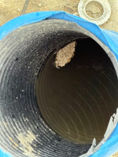 In Męcina, Poland, an image shows the interior of a dark, ribbed pipe, possibly a drainage pipe, partially covered by a bright blue tarp. A small cluster of light-colored, oval-shaped objects, resembling eggs or larvae, rests on the surface of murky water collected inside the pipe. The surrounding environment appears to be sandy or gravelly ground, with a discarded white, circular object visible in the upper right portion of the image. The scene suggests a natural setting with potential signs of biological activity within the man-made structure.