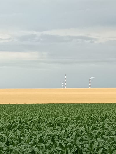In a landscape view of Gartz (Oder), Germany, two fields are visible. The foreground is occupied by a dense field of green crops, likely corn, stretching across the frame. Behind this, a contrasting field of dry, golden-brown vegetation, possibly harvested wheat or barley, creates a horizontal band. In the distance, three tall, cylindrical structures resembling industrial smokestacks stand against a cloudy, grey sky. The smokestacks are striped with white and red bands, and one of them is emitting a plume of white smoke. The scene depicts a rural or semi-industrial setting.