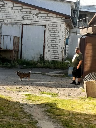 In Nosivka, Ukraine, a man and a dog are in an outdoor setting. The man, wearing a green t-shirt, black shorts, a baseball cap, and dark socks and sandals, stands near a wooden gate and a white brick building with large, metal doors. The building appears to be a garage or workshop.

A small, light brown dog with a white-tipped tail is in the foreground, facing away from the man and looking towards the left, as if barking at something off-camera. The ground is a mix of dirt, gravel, and patchy grass, with shadows suggesting it is daytime, likely late afternoon given the long shadows. The scene appears to be a residential or industrial backyard area. There are no visible text elements in the image. The overall impression is a casual, everyday moment in a rural or semi-rural Ukrainian setting.