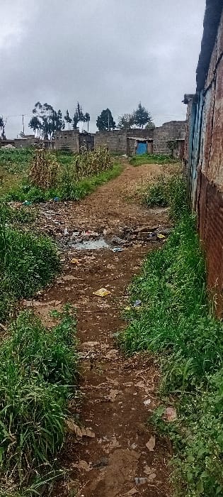 An outdoor scene shows a muddy path amidst grassy areas, littered with trash. Makeshift structures line the background. Buildings are constructed with brick/cinder block. Trees and vegetation are scattered, and the sky is overcast. The scene suggests a neglected area, possibly a slum or impoverished neighborhood. A metal structure is barely visible on the left.