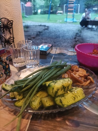 A table setting is shown outdoors, with a plate of chopped cucumbers with dill, green onions, and pickled mushrooms in the foreground. To the left of the plate are two glasses, a roll of paper towels, and a decorative salt shaker. In the background, a person is seen near a grill, and a children's playground structure is visible. The scene appears to be in Vodorazdel, Russia, based on the context provided.