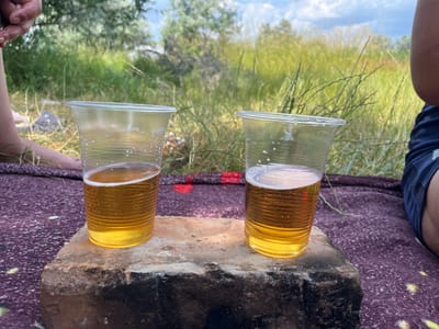 The image depicts a close-up, eye-level view of two plastic cups filled with a golden-yellow liquid, presumably beer, resting on a rough, weathered brick. The cups are clear and ribbed, with a frothy head on the liquid. Behind the cups, a blurred landscape of tall, green grass and trees suggests an outdoor setting. The ground is covered with a dark purple blanket, visible in the foreground. To the left, a person's bare foot and lower leg are visible, along with a hand. To the right, the lower torso and leg of another person in dark blue shorts are present. The sky above is partly cloudy. The scene is suggestive of a casual outdoor gathering. There are no discernible landmarks that would pinpoint the location to Levadivka, Ukraine.