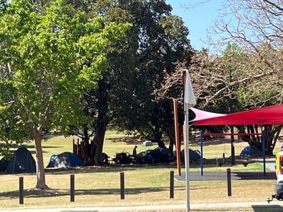 The image displays a daytime outdoor scene in a park setting within South Brisbane, Australia. The foreground features a paved area with a curb, bordered by four black vertical posts, each topped with a red reflector. A light-colored pole, from which a white, folded flag-like material hangs, stands vertically to the right of the posts.

The mid-ground comprises a large, mown grass expanse dotted with numerous trees. From left to right:
*   A vibrant green, leafy tree stands prominently on the left.
*   At least five dome-style tents are visible: one dark blue tent is located on the far left under a tree, another blue-grey tent is positioned to its right, and a blue tent is visible near the playground on the right. A fourth, light-colored tent or tarp is in the distant background to the left of the playground structure. A fifth dark-colored tent is partially obscured behind a collection of dark tarps and bags under a large tree in the central mid-ground.
*   Near the center of the image, beneath a tree with dense dark foliage, a quantity of dark-colored objects, possibly tarps and bags, is piled next to what appears to be an open-frame cart or trolley.
*   One individual is present near these objects, silhouetted against the grass, in a crouched or bent-over posture with their back to the viewer.
*   On the right, a children's playground area is visible, featuring a swing set with at least two swings and a wooden climbing structure. Two large red shade sails extend over parts of the playground equipment.

The background shows additional trees with varying levels of foliage, some appearing bare-branched against a clear blue sky in the upper right quadrant. The far right edge of the image shows a partial view of a white vehicle, possibly a utility vehicle, displaying yellow and red markings.