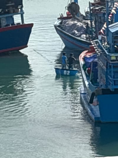 This image, rotated 90 degrees clockwise, displays a vibrant scene of fishing boats on a calm body of water, likely a bay or harbor in Ninh Chu Ward, Vietnam.

In the foreground, a prominent blue fishing boat with a white superstructure and red trim dominates the left side of the frame. It is adorned with decorative flags or banners along its side. Various fishing equipment, including nets and crates, are visible on its deck, suggesting an active fishing operation. At least two individuals are on or near this main boat: one person in a light-colored top is near the stern, and another in blue clothing is positioned further forward on the deck.

Adjacent to the main vessel, a smaller, blue tender or dinghy is visible, powered by an outboard motor. Two individuals are present in this smaller boat; one appears to be seated or kneeling, and another is standing closer to the motor. The number "02" is distinctly visible in white on the stern of this blue dinghy.

The water surface is calm but shows gentle ripples, reflecting the soft daylight. The bow of another boat, dark blue with a red-painted edge, is partially visible in the bottom left corner, indicating the presence of multiple vessels in close proximity. The scene captures a typical daytime setting in a Vietnamese fishing community, with individuals engaged in their daily maritime activities.