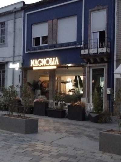 The image depicts the exterior of a building with a sign that reads "MAGNOLIA" in large, illuminated letters. The building appears to be a commercial establishment, possibly a cafe or restaurant, as indicated by the large glass windows and outdoor seating area with planters. The architecture is modern, with a dark blue facade and white trim around the windows. The lighting suggests it is either dusk or an overcast day. The foreground shows a paved walkway with several large planters containing plants, suggesting an urban setting. Based on the visual cues, this establishment is located in the city of Vila Nova de Famalicão, Portugal. A smaller illuminated sign to the left of "MAGNOLIA" shows the word "Renal" or "Renal" in white lettering, which could be the name of another business or a department within the same establishment. The overall scene conveys a welcoming and modern atmosphere for patrons.