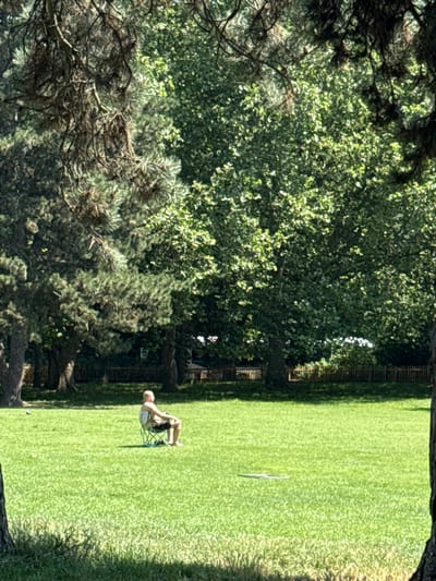 The image captures a man sitting in a folding chair on a lush green lawn. He is bald and appears to be wearing dark shorts. His arms are resting on his lap, and he is looking downwards. The chair is positioned in the middle of the lawn, with a faint shadow cast by the man and his chair. In the background, to the left, are dense green trees, providing a stark contrast to the open grassy area. A thin, dark, vertical object, possibly a pole or stake, is visible in the grass to the right of the man, and a white, disk-like object is visible further to the right on the lawn. The scene is illuminated by bright sunlight, suggesting it is daytime, likely a clear or partly cloudy day. The overall setting appears to be a park or a large garden. The focus is on the solitary figure enjoying a moment of repose in the natural environment. There is no visible text in the image.