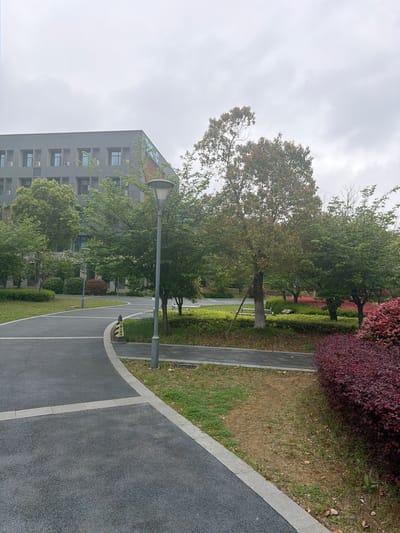 The image depicts an outdoor scene in the city of Jiangning District, China. A gray building is visible on the left side, with trees in front of it. A paved pathway curves through the scene, bordered by grass and vegetation. Along the pathway, there are streetlights. Red foliage is present on the right side of the image. The sky is overcast. There are no people visible.