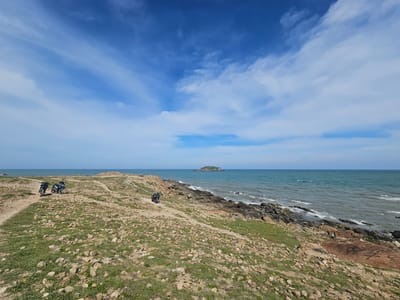 The image depicts a scenic coastal landscape in Mui Ne, Vietnam. The foreground is a rugged, rocky terrain covered with patches of dry grass and scattered stones. A dirt path winds through the landscape. Two motorcycles are parked on the path in the left mid-ground.
The mid-ground features a rocky shoreline where waves gently crash onto the shore, creating white foam. The sea is a deep blue-green, stretching towards the horizon under a vast, bright blue sky dotted with wispy white clouds. In the distance, a small, verdant island sits on the water.
The lighting suggests it is daytime, likely late morning or early afternoon, with the sun casting soft shadows. The weather appears clear and pleasant. The overall mood is peaceful and serene, capturing the natural beauty of a coastal environment. There is no visible text in the image.
