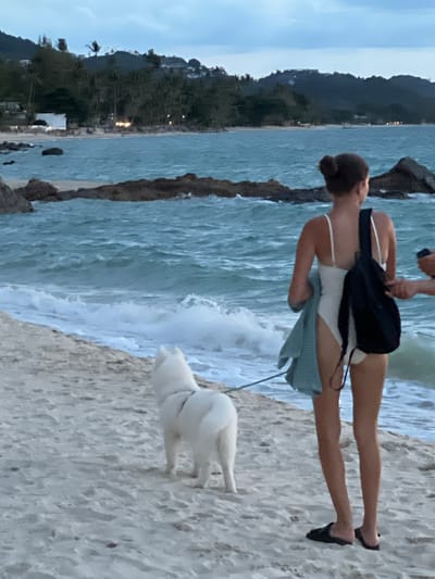 A white Samoyed dog on a leash stands on a sandy beach, facing left. The dog is next to a young woman wearing a white swimsuit, a light blue towel draped over her left arm, and a black backpack slung over her right shoulder. She is facing away from the camera and looking towards the ocean. Her hair is pulled up into a bun. The beach is bordered by choppy, turquoise water with white waves crashing onto the shore. In the background, lush green hills covered with palm trees and scattered buildings rise up from the coastline. The sky above is overcast and a dusky blue, suggesting either dawn or dusk. The scene appears to be set in Baan Tai, Thailand, a location known for its beaches and tropical landscape.