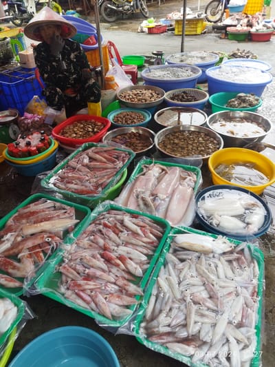 A street vendor, wearing a conical hat and a patterned outfit, is seated behind a display of fresh seafood at a market in Phan Thiết, Vietnam. The vendor is wearing black gloves and holding a mobile phone. Surrounding the vendor are various containers and tubs filled with squid, snails, and other seafood. The market appears to be outdoors, with a paved ground and some motorcycles visible in the background. The overall scene depicts a busy, everyday marketplace.