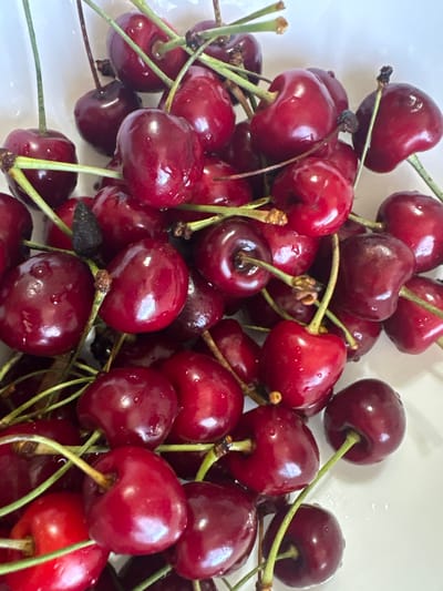 A close-up, overhead shot features a large pile of fresh, ripe cherries with bright green stems. The cherries are a deep, glossy red, with some showing slight variations in color. A few water droplets glisten on their smooth surfaces. The cherries are densely packed, filling the frame and creating a textured, visually appealing arrangement. The background is a plain white surface, likely a bowl or plate, which further emphasizes the vibrant color and detail of the fruit. There are no people or any other objects present in the image. The scene appears to be located in Cheshnegirovo, Bulgaria.