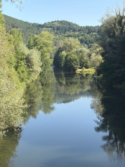 The image depicts a serene natural landscape, likely a river or a wide canal, winding through a lush, tree-lined valley. The water's surface is calm, reflecting the dense green foliage and the clear blue sky. On either side of the waterway, trees of various shades of green create a verdant backdrop, extending up the gentle slopes of the surrounding hills. The hills themselves are densely covered with trees, suggesting a forested or park-like environment. The light indicates it is daytime, with the sun illuminating the scene. There are no visible people or man-made structures in the immediate vicinity, emphasizing the natural beauty of the location. The overall impression is one of tranquility and natural untouched splendor. The image does not contain any explicit clues to identify the specific location in Kokalyane, Bulgaria.