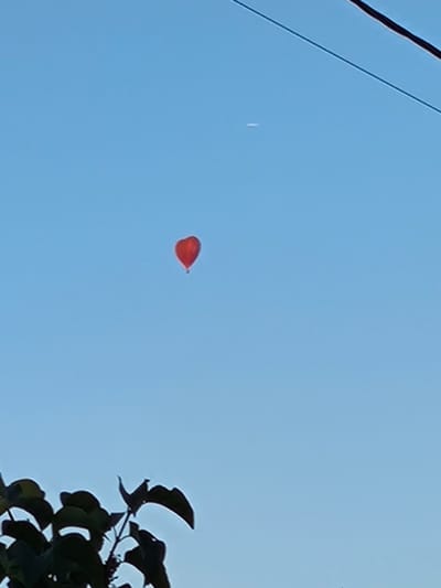 A single red heart-shaped balloon is floating in a clear blue sky. In the lower left corner of the image, silhouetted dark green leaves from a plant are visible against the sky. A thin, dark power line stretches diagonally across the upper right portion of the frame. A faint white horizontal line, possibly a contrail or a distant object, is visible in the sky to the left of the balloon. The image was captured outdoors, likely during daylight hours. No specific landmarks or buildings are identifiable to pinpoint the location in Novonikolskoye, Russia.